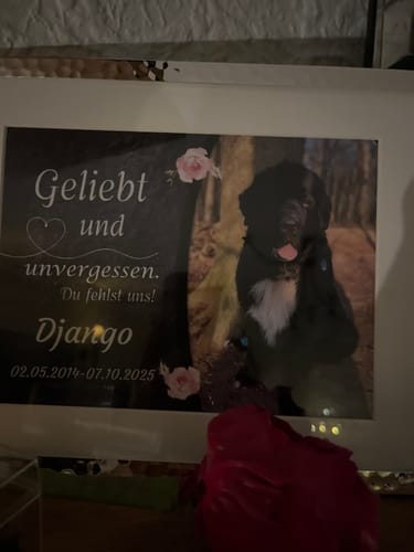 Customer photo review of Hunde Gedenktafel mit Foto & Spruch (UV- &  Wetterfest)