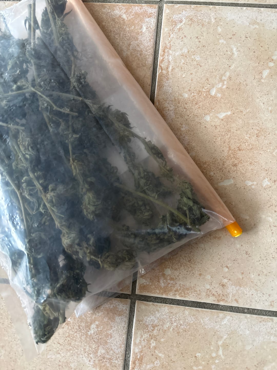 Customer photo review of Dry Ferm Bag (3er Set)