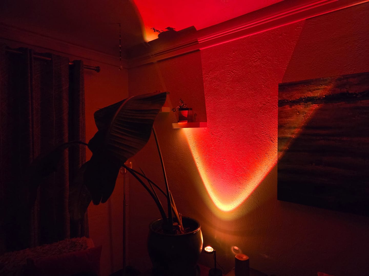 Customer photo review of Golden Hour Sunset Lamp