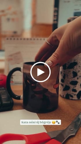 Customer video review of THE CREATION OF CAT BÖGRE