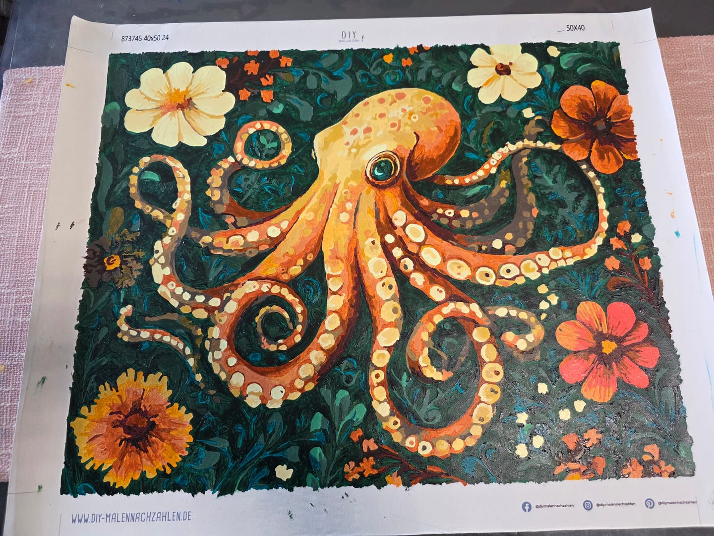 Customer photo review of Malen nach Zahlen - Oktopus