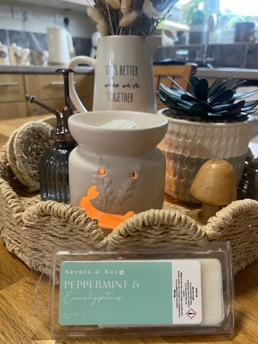 Customer photo review of Peppermint & Eucalyptus Wax Melt