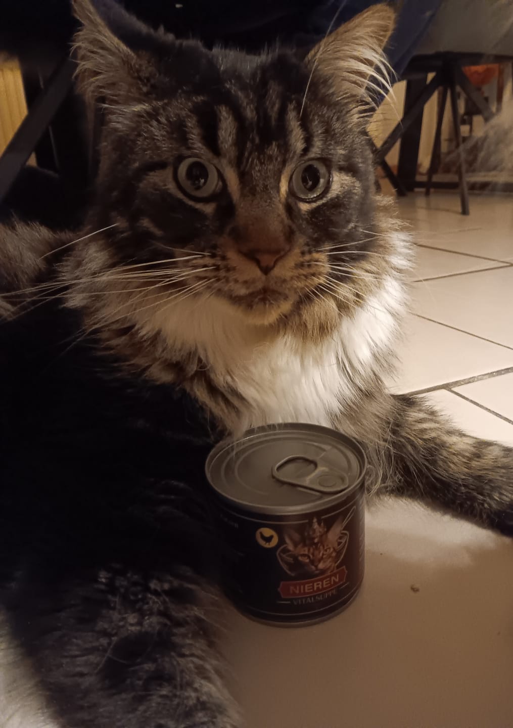 Customer photo review of Nieren Vitalsuppe für Katzen