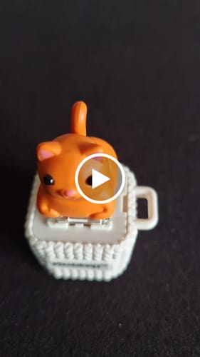Customer video review of Meowkey - Fidget Toy that Meows!