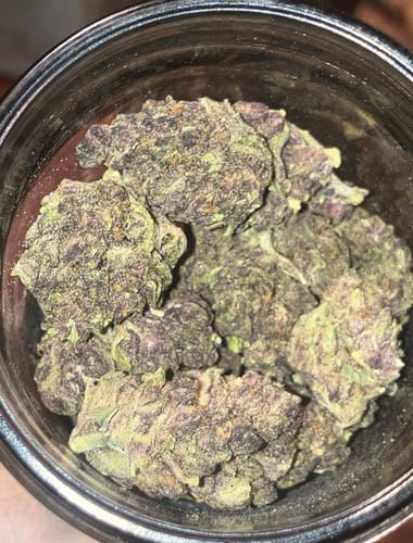 Customer photo review of Purple Cream THCA Flower