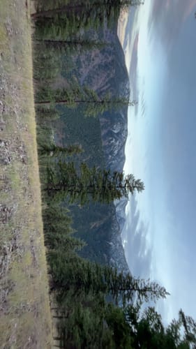 Customer photo review of Tropical Fruit Nicotine Pouches