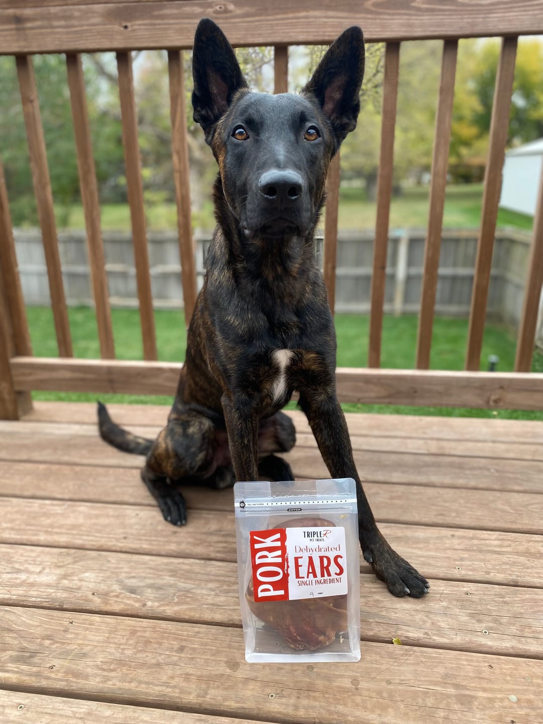 Customer photo review of Pig Ears