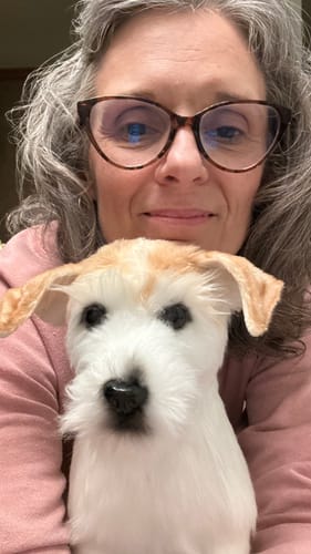 Custom Petslify plush reviewed by Paul C., handmade replica of their cat