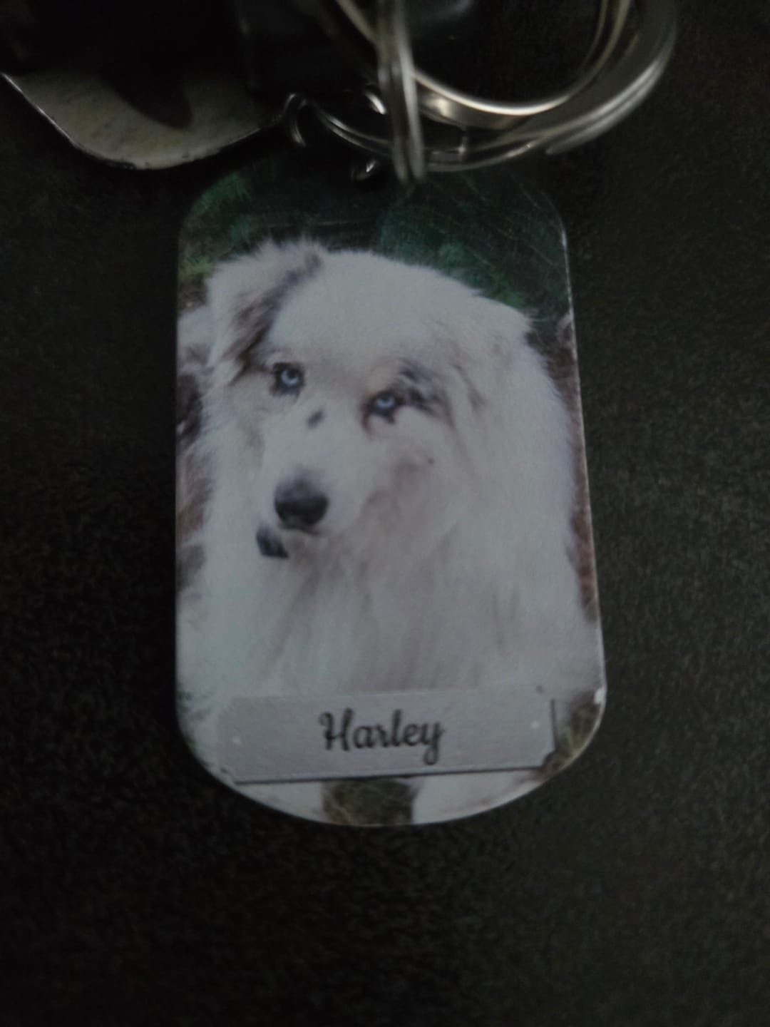Customer photo review of Photo double face - Porte-clés Dog Tag personnalisé
