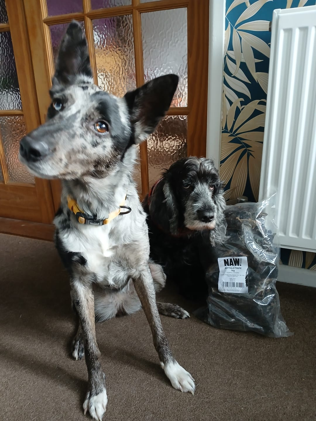 Customer photo review of Buffalo Tripe (1kg Bulk Bag)