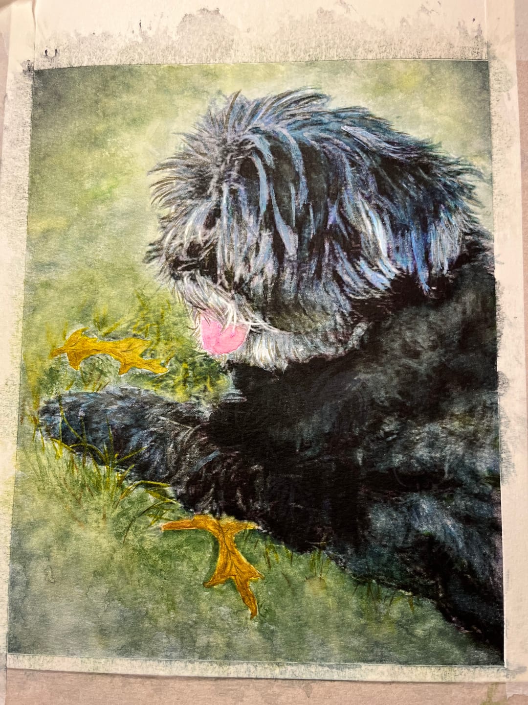 Customer photo review of LUCY flex + Photo Enlarger & Bag