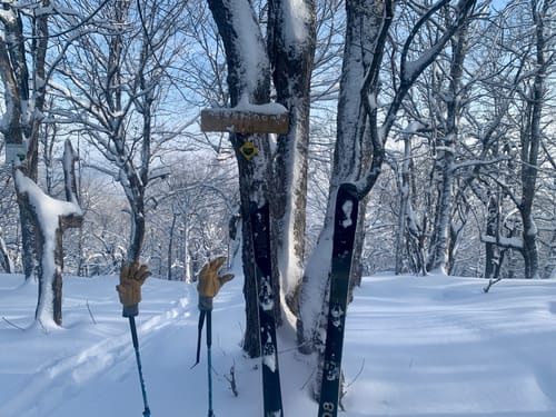 Customer photo review of Tuttle