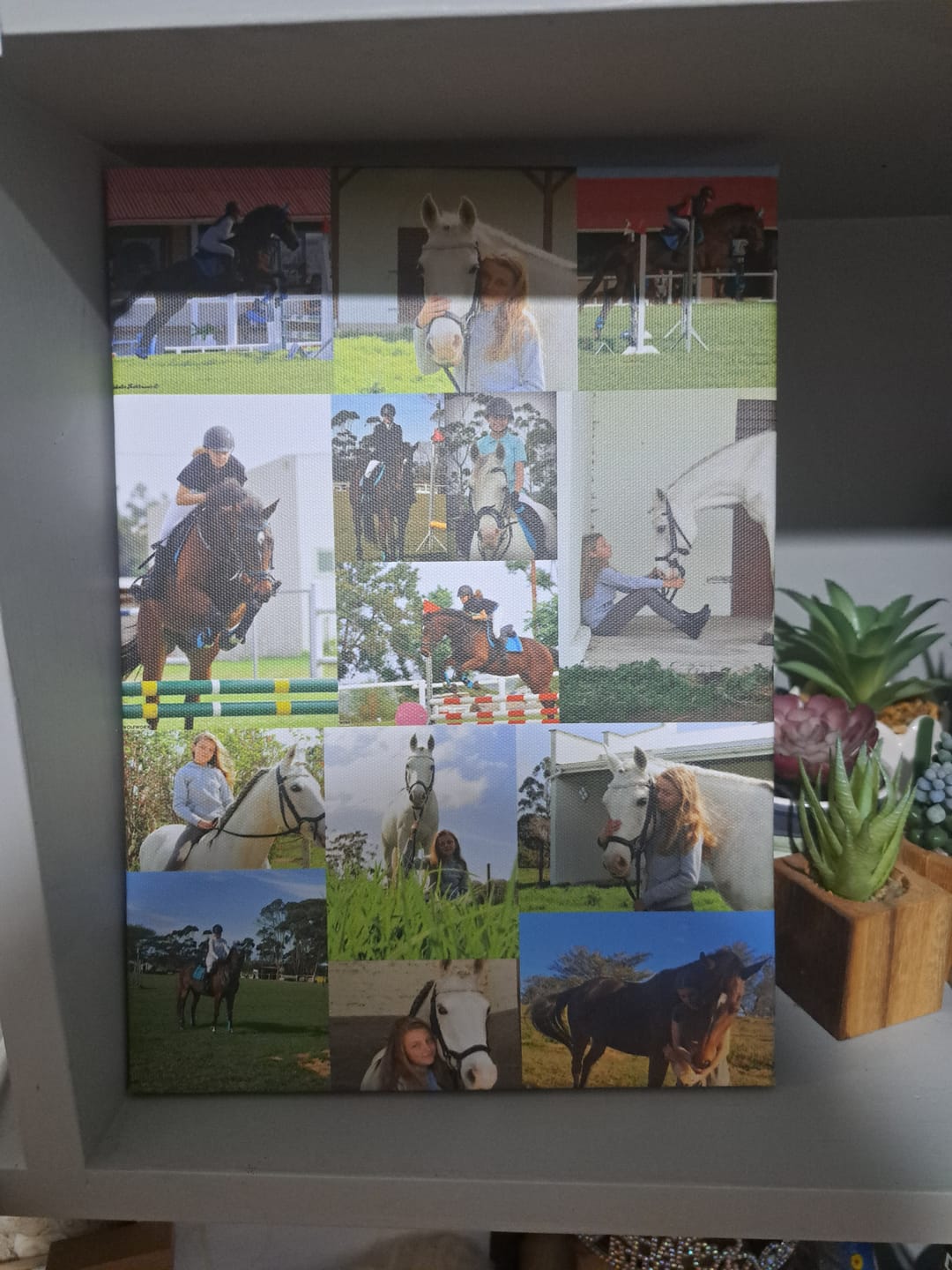 Customer photo review of 3 x A4 Canvas Combo