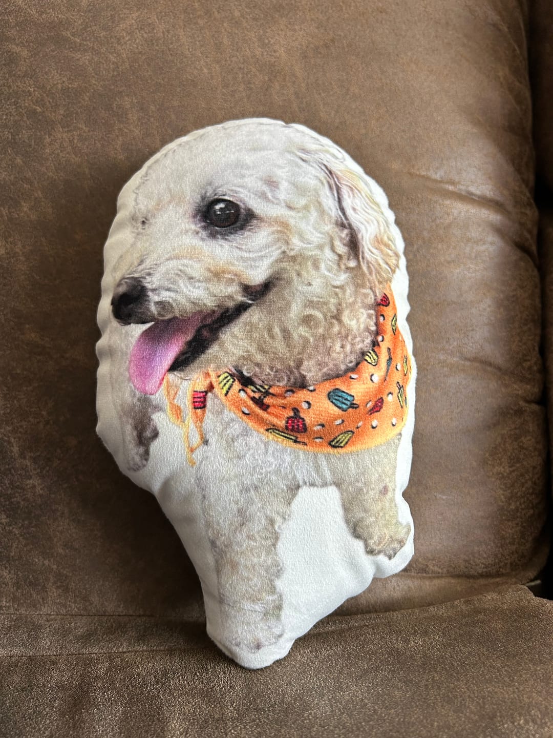 Customer photo review of Custom Dog Shaped Memorial Pillow for Pet Owners from Your Pet Picture