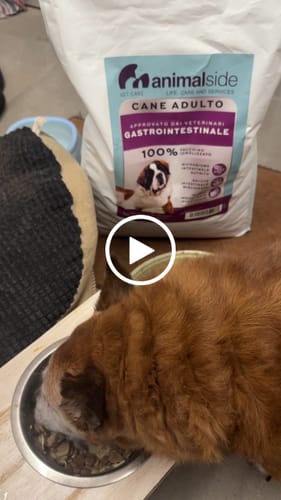 Customer video review of Crocchette Gastrointestinal al Tacchino - Cane Adulto - Proteine idrolizzate - Grain Free