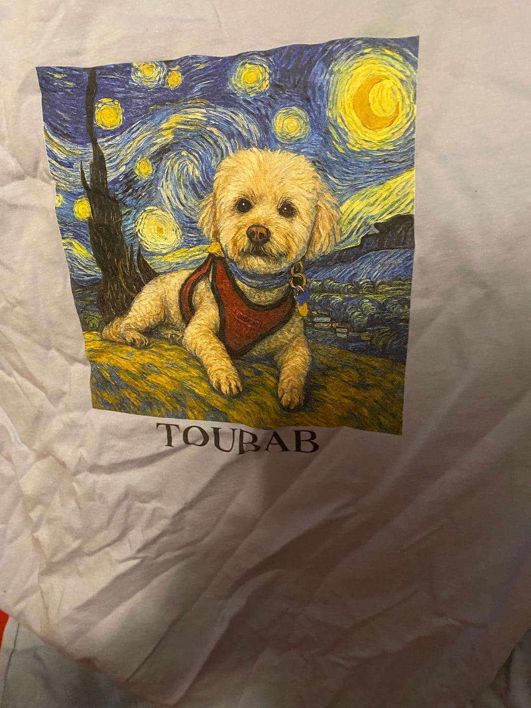 Customer photo review of Custom Pet T-shirt for Women - Van Gogh Painting Style