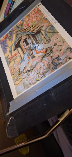 Customer photo review of Diamond Painting - Surprise Picture