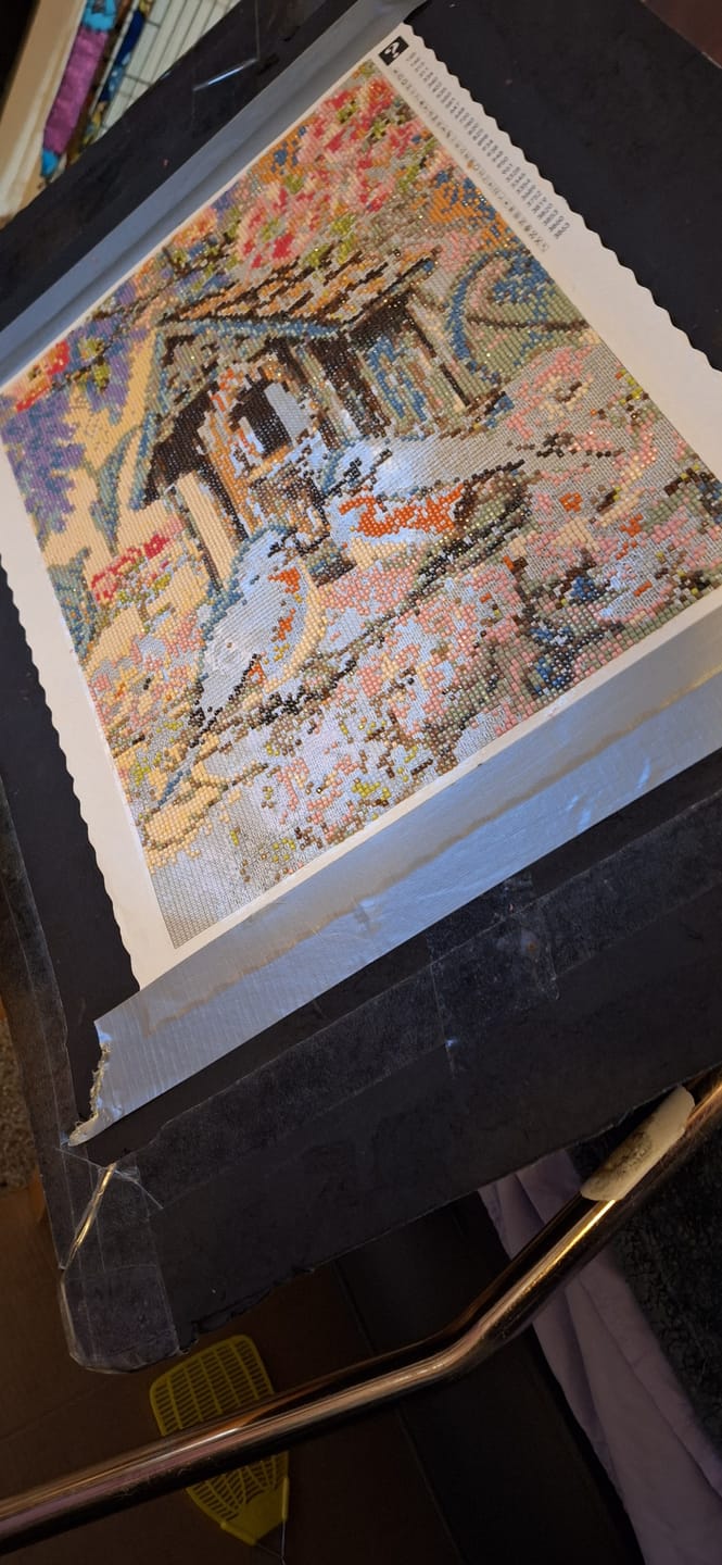 Customer photo review of Diamond Painting - Surprise Picture