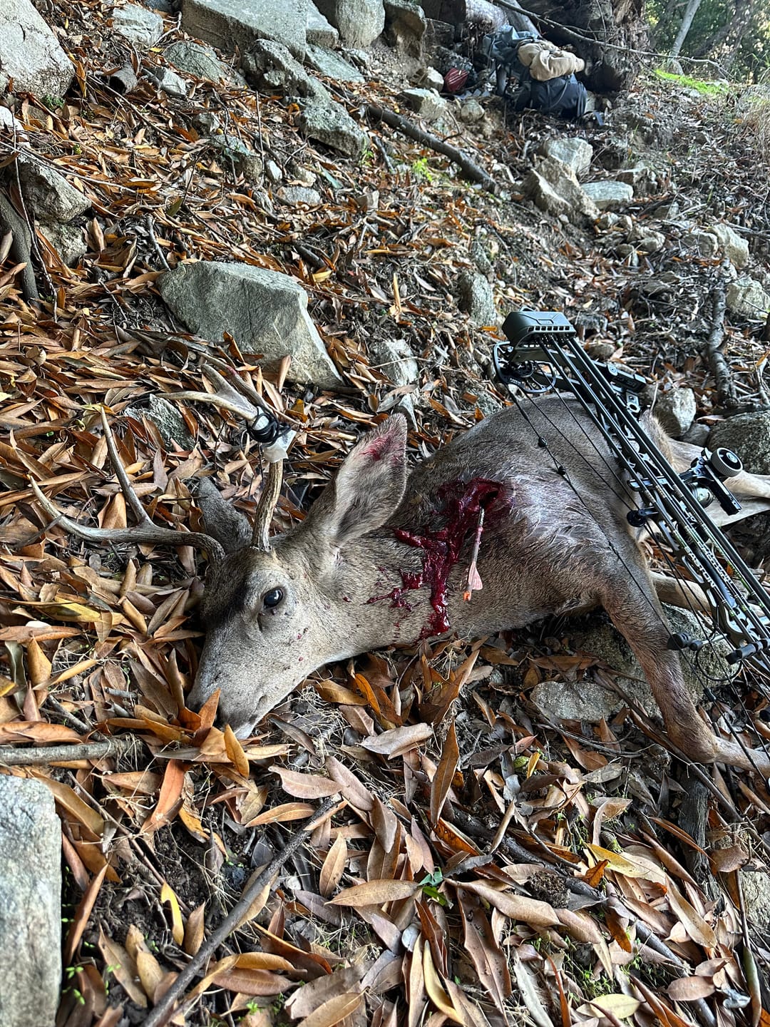 Customer photo review of Aluminum Broadheads