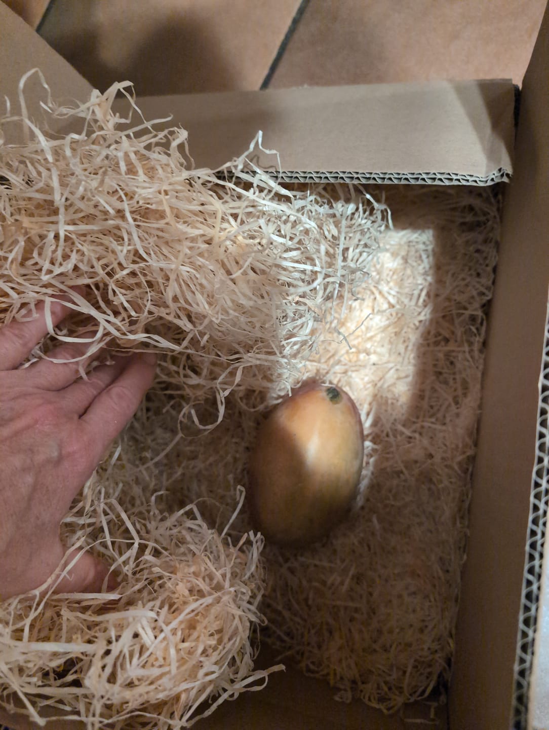 Customer photo review of Mango Osteen Bio von Julian Sonderaktion %