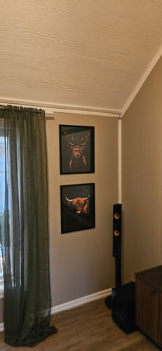 Customer photo review of Highlands Set of 2 Prints