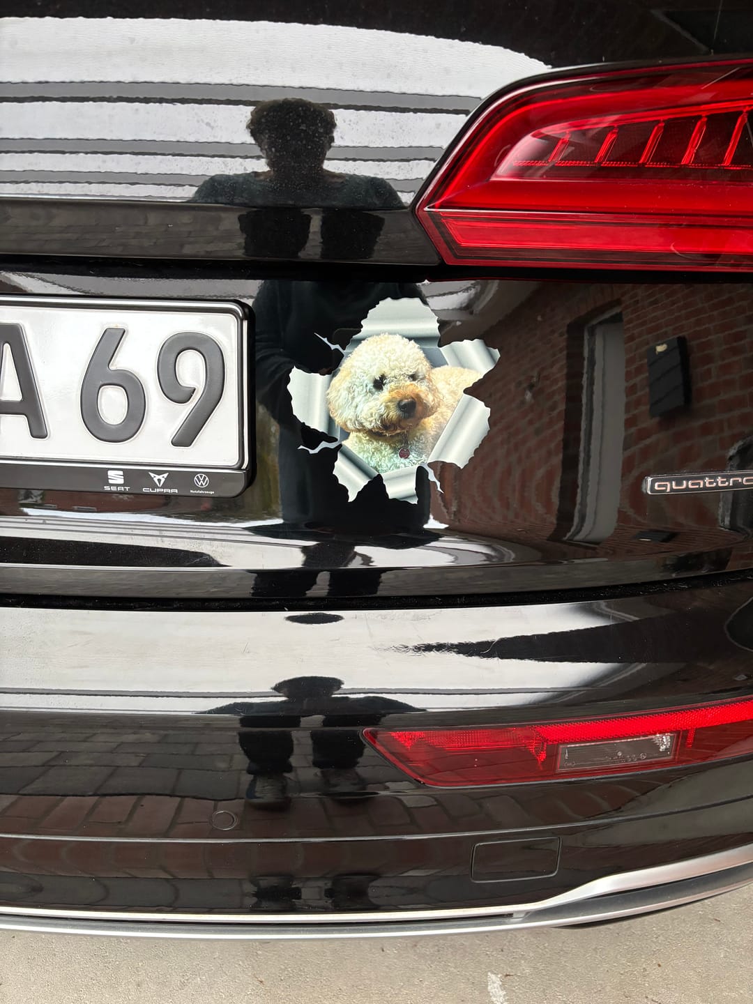 Customer photo review of Spähendes Foto - Individueller Autoaufkleber