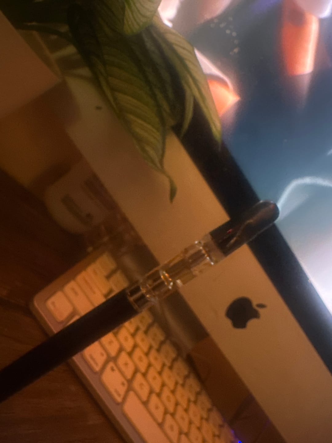Customer photo review of 1 Gram THC-P Blend Vape Cartridge | Lemon Drop - Sativa