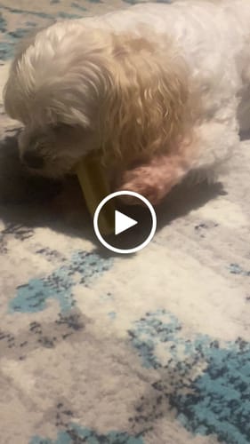 Customer video review of MIX FLAVORED (strawberry, banana, mint, & pumpkin): A PACK OF 4 STICKS