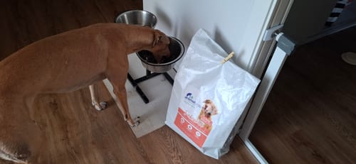 Customer photo review of 100g Crocchette GRAIN FREE