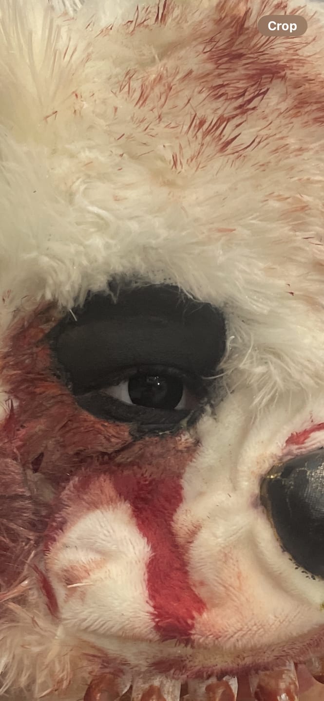 Customer photo review of PRIMAL ® Black Mini Sclera - Colored Contact Lenses