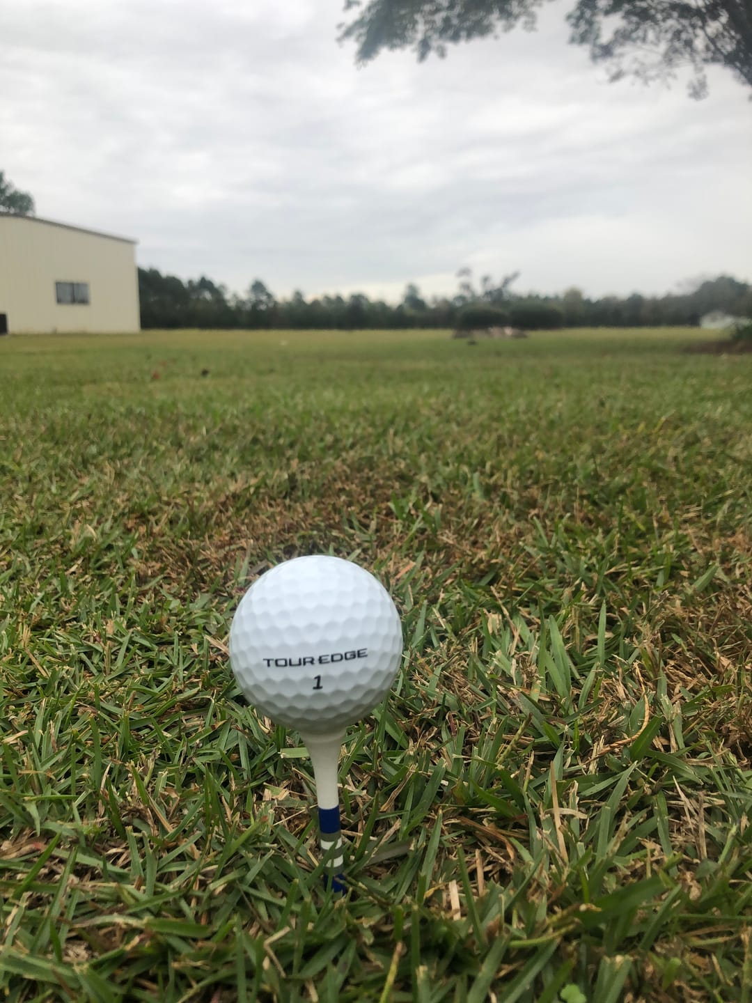 Customer photo review of Exotics Golf Balls