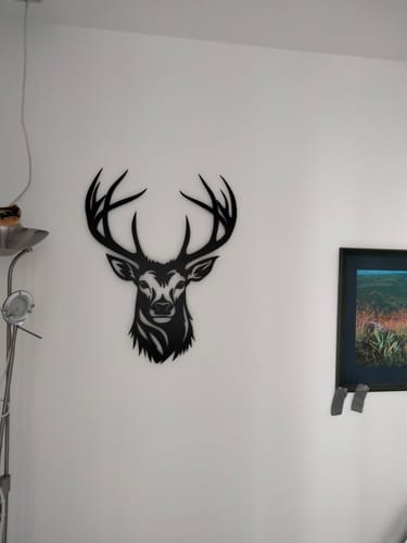 Customer photo review of Décoration Murale en Métal - Montagne et Cerf
