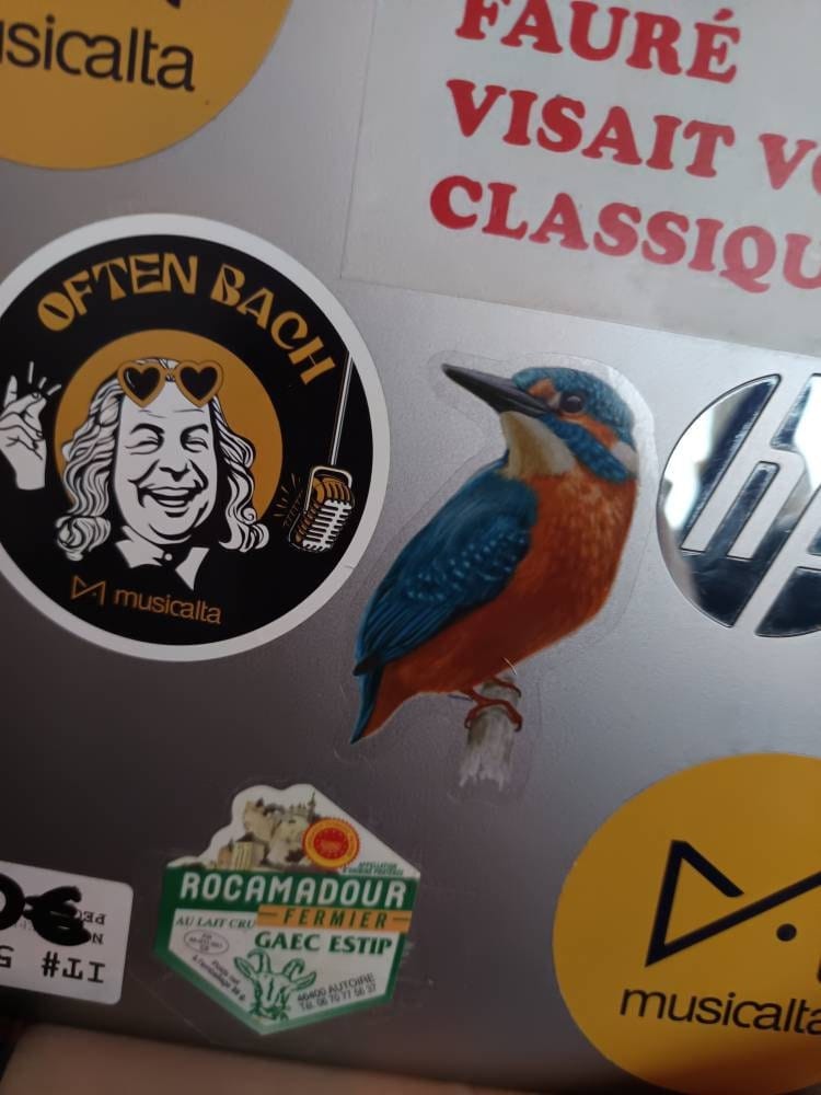 Customer photo review of Kingfisher Bird Sticker, Nature Animals Tropical Laptop Decal Vinyl Cute Waterbottle Tumbler Car Bumper Aesthetic Die Cut Wall Mural