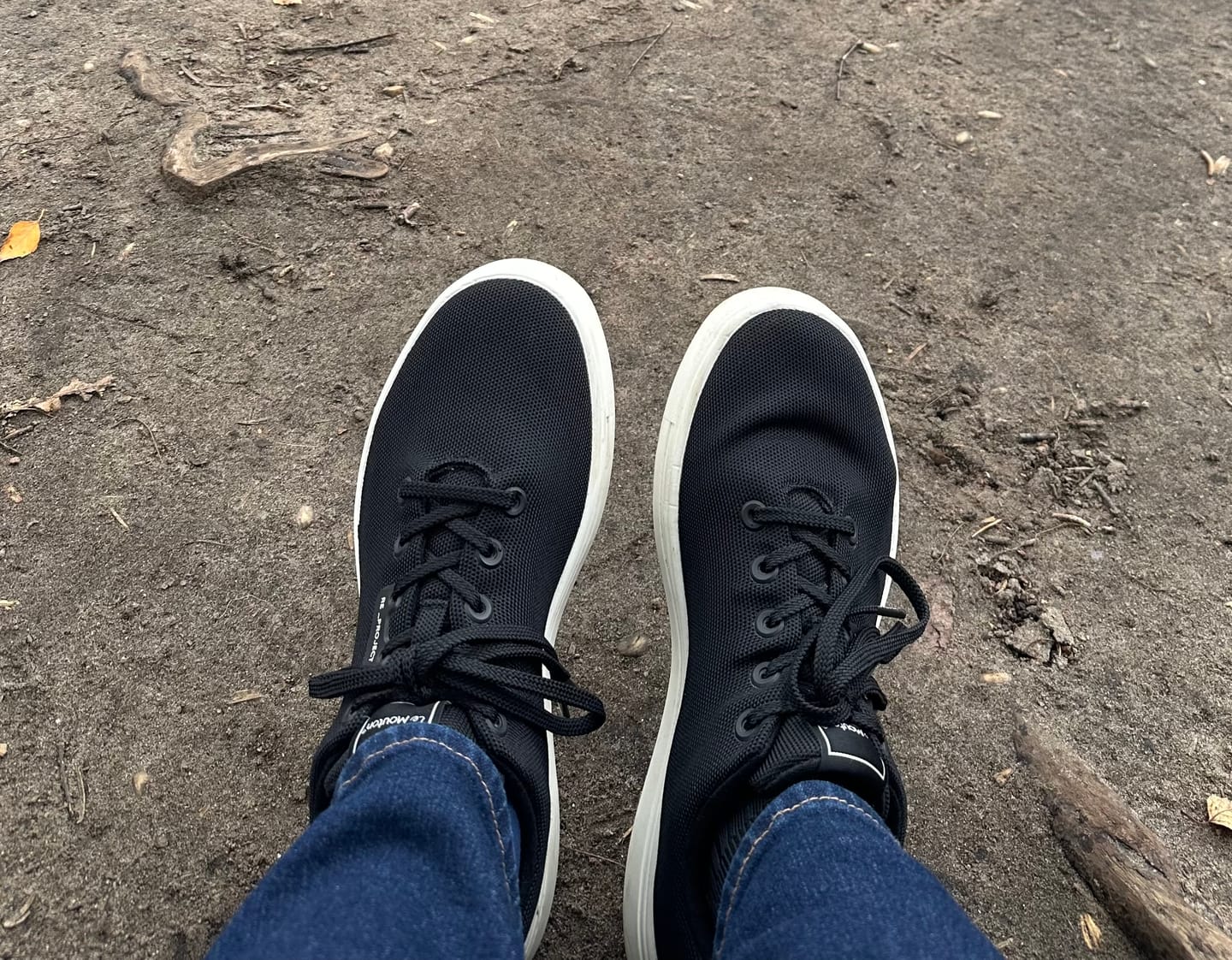 Customer photo review of LeMouton Forest