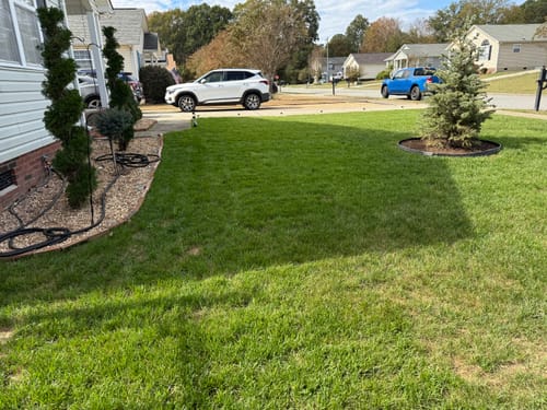 Customer photo review of GCI Turf 25-5-5 G