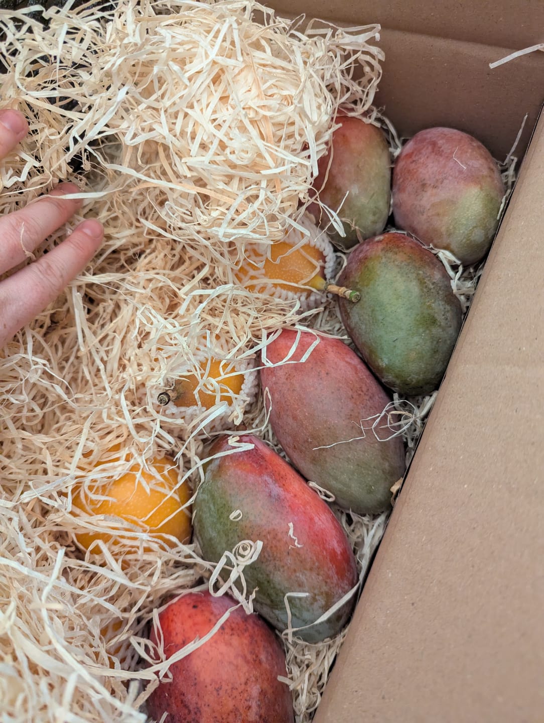 Customer photo review of Mini-Mango Osteen Bio Sonderpreis % 3kg