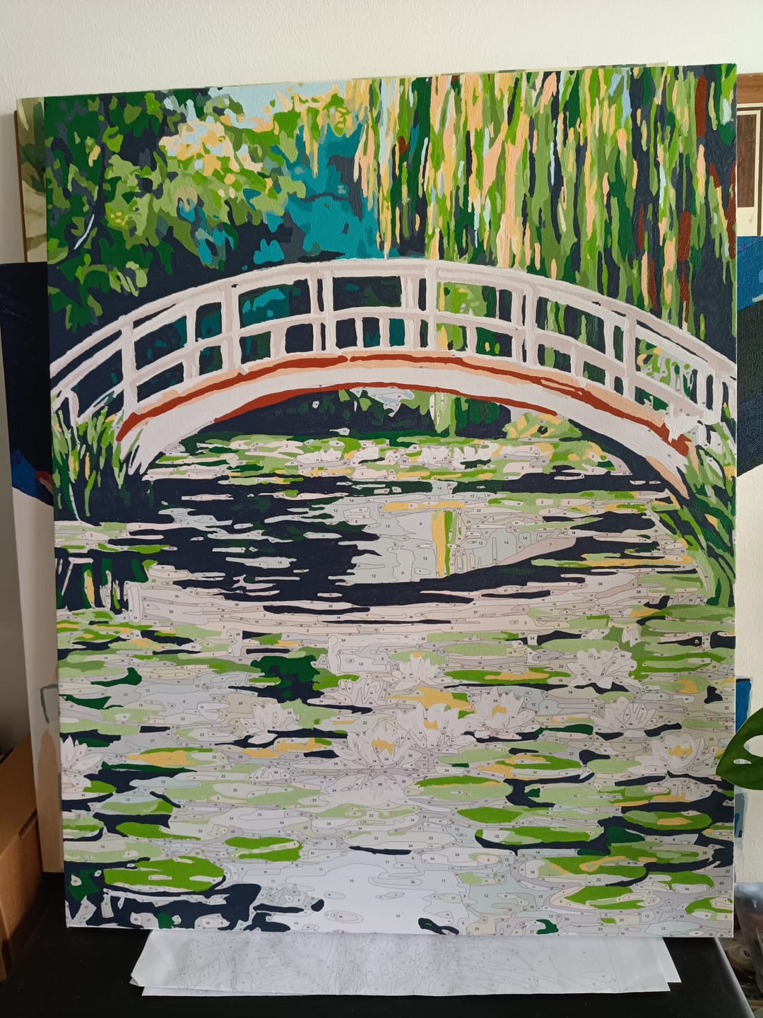 Customer photo review of Series of Water Lillies