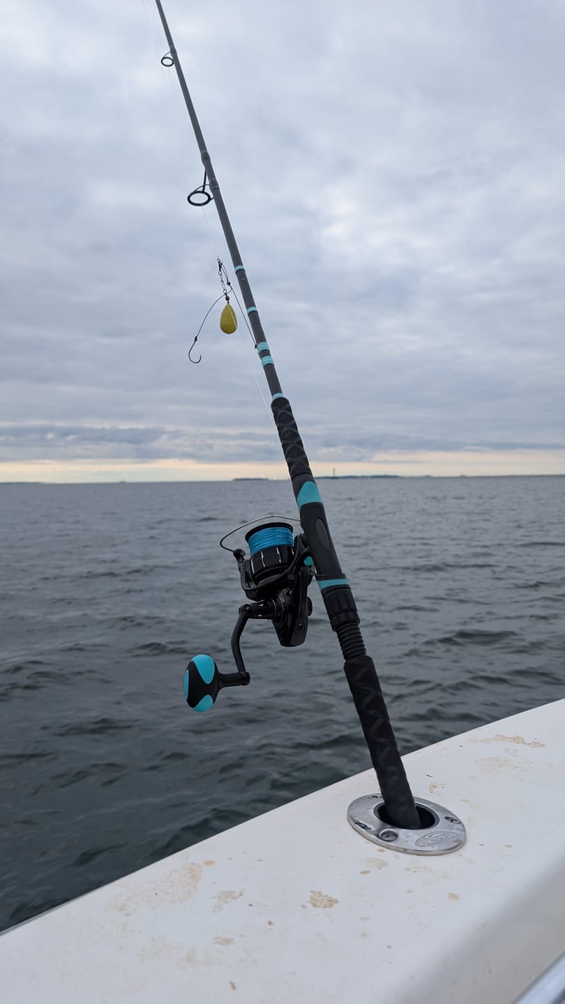 Customer photo review of Elite Nearshore Spinning Rods