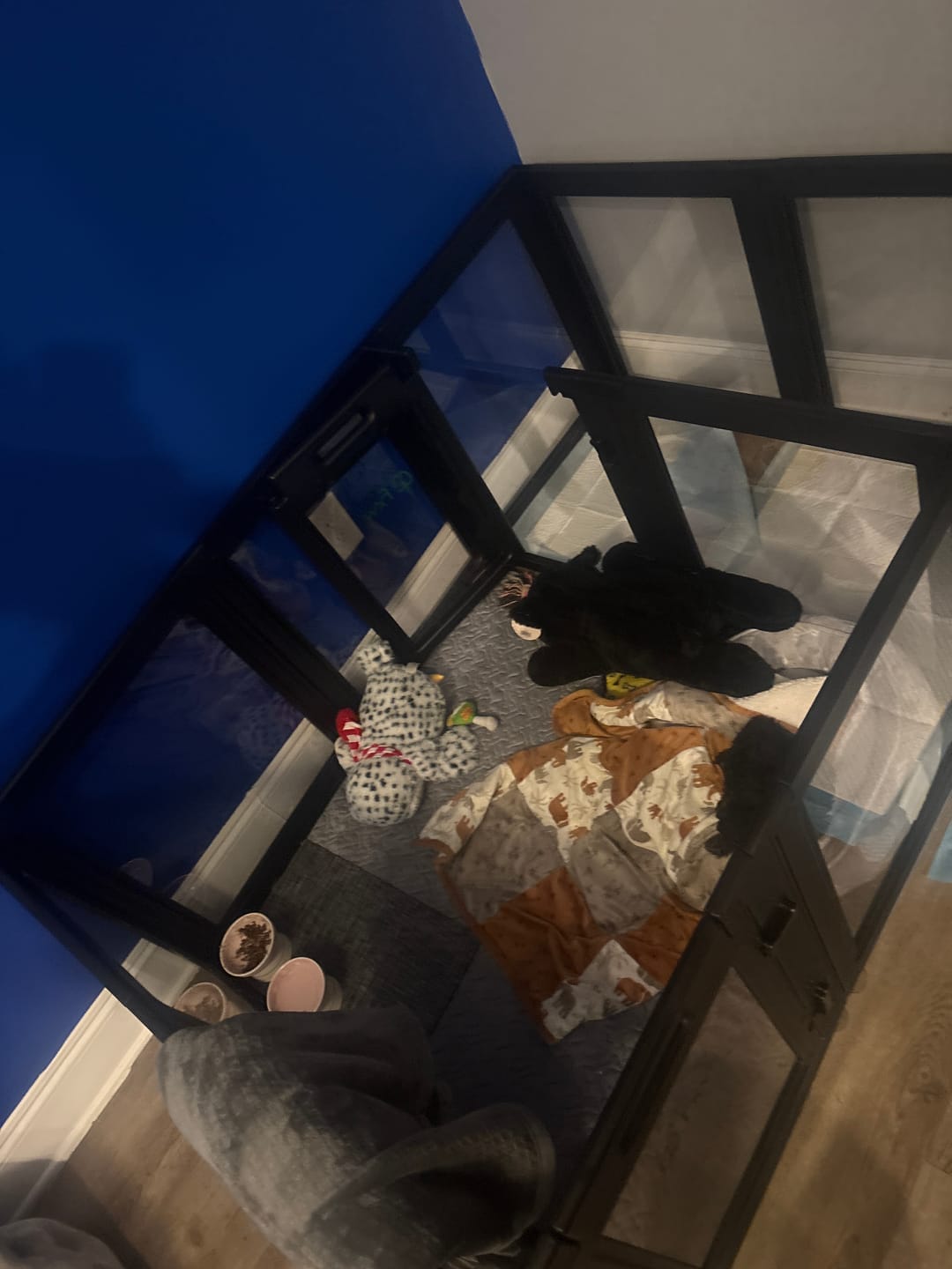 Customer photo review of AuraSpace Acrylic Indoor Dog Playpen for Puppies and Small Dogs