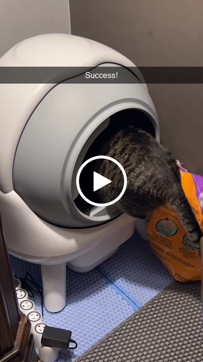 Customer video review of [⏰Fall Sale] New Arrivals Els Pet Orbitie with Wide Opening Self Cleaning Litter Box for Cats