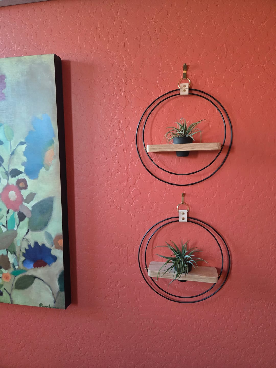 Customer photo review of Air Plant Shelf + Pot
