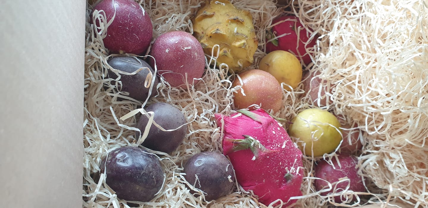 Customer photo review of Fruchtfeuer Tropic Mix Box Sonderpreis
