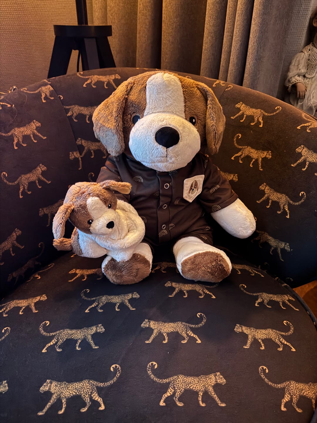 Customer photo review of Mini & Grote hond - Je bespaart €20