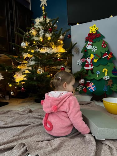 Customer photo review of Sapin De Noël En Feutrine- Avenia™