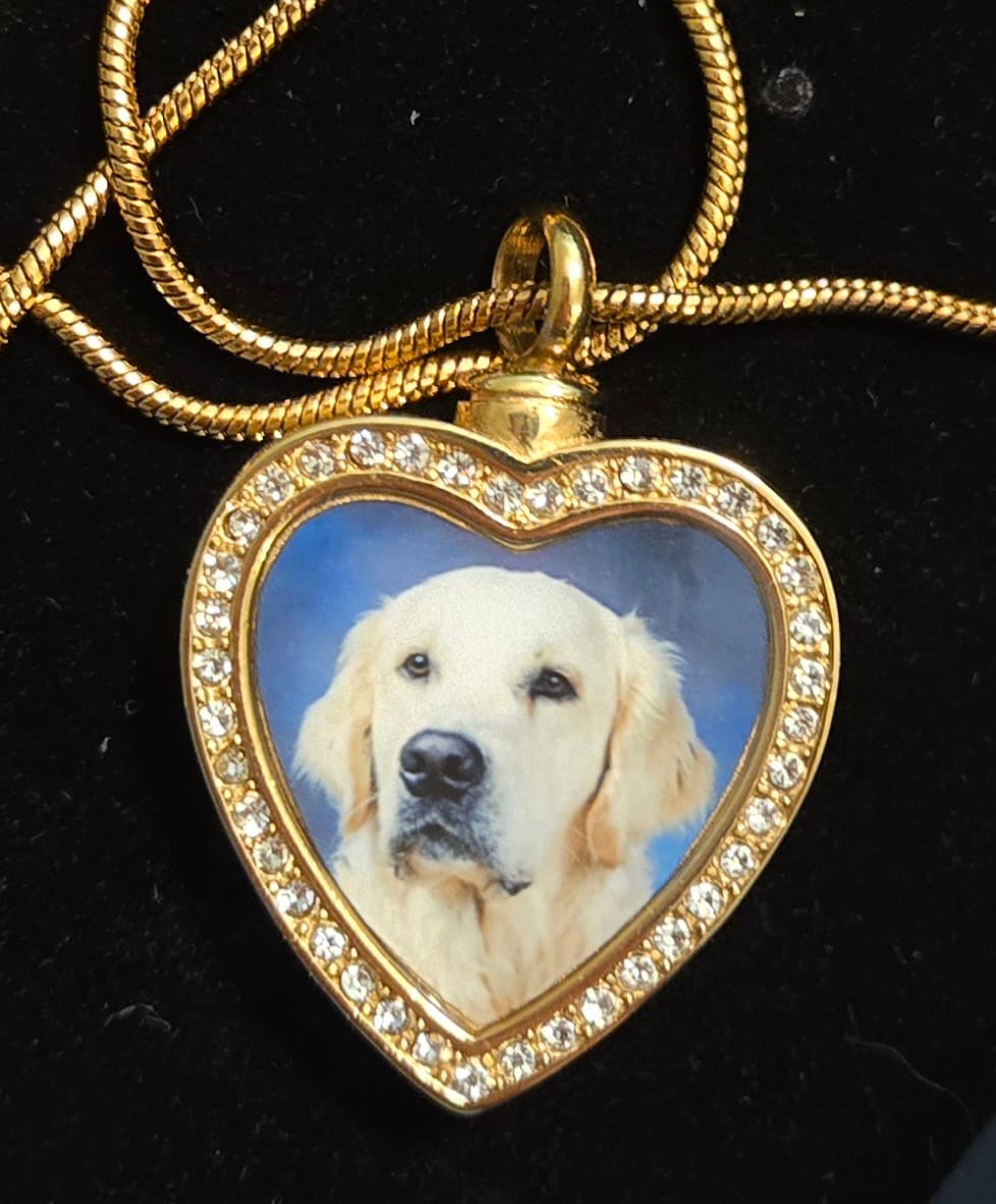 Customer photo review of Heart Shaped Urn Cremation Jewelry