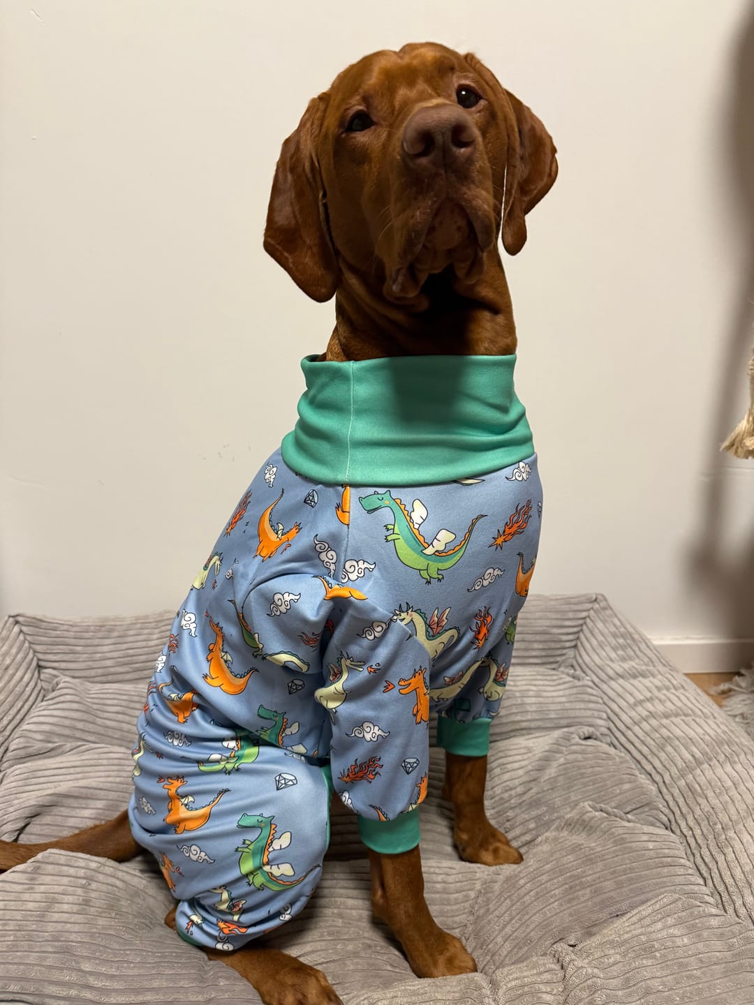 Customer photo review of Dog Pajama - Dragons
