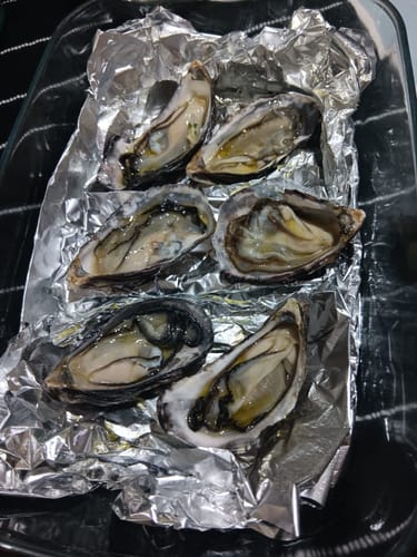 Customer photo review of Fresh Medium Half Shell Oysters - 6 pieces **FREE GIFT**