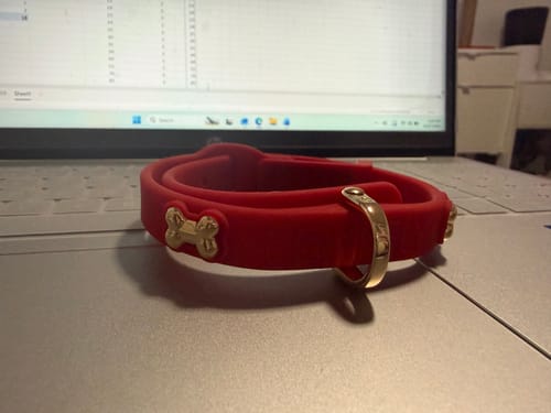 Customer photo review of Boneflex+ Signature Gold Bones Collar