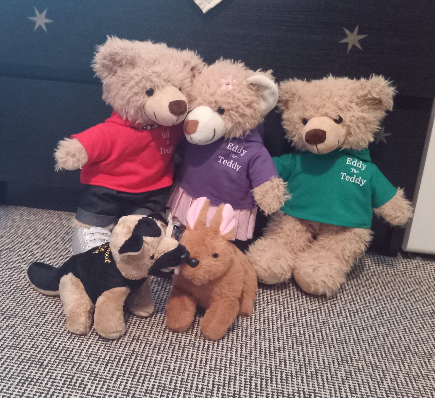 Customer photo review of 32cm Eddy the Teddy Clothing (pack of 5)