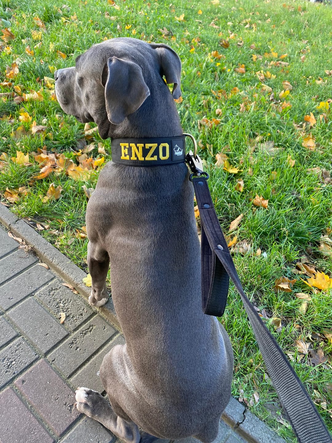Customer photo review of Smycz z dodatkową rączką - Guard Leash Black Edition Czarna